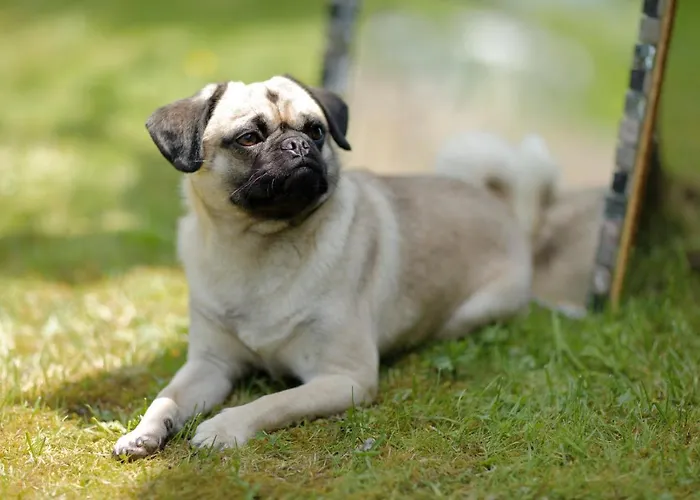 Zur Glashuette Landpension